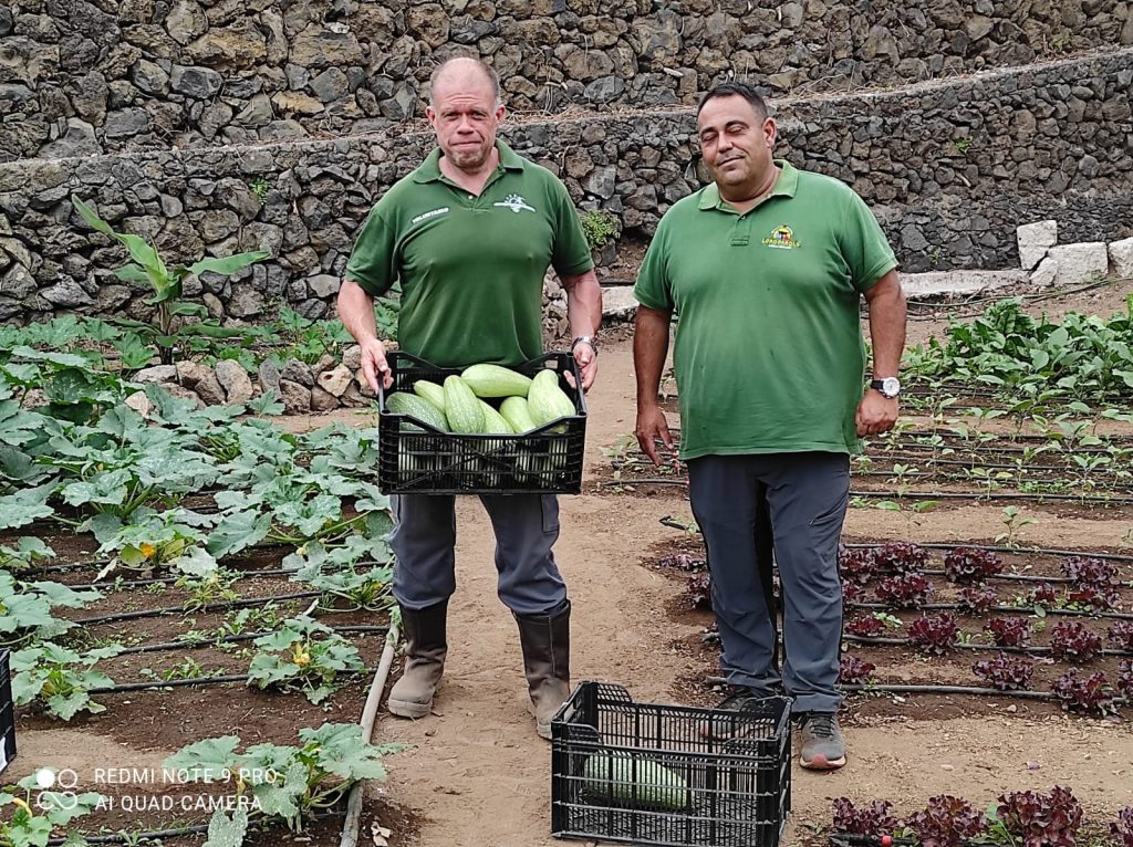 PRIMERAS COSECHAS HUERTO2